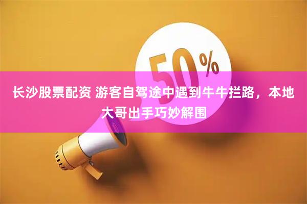 长沙股票配资 游客自驾途中遇到牛牛拦路，本地大哥出手巧妙解围